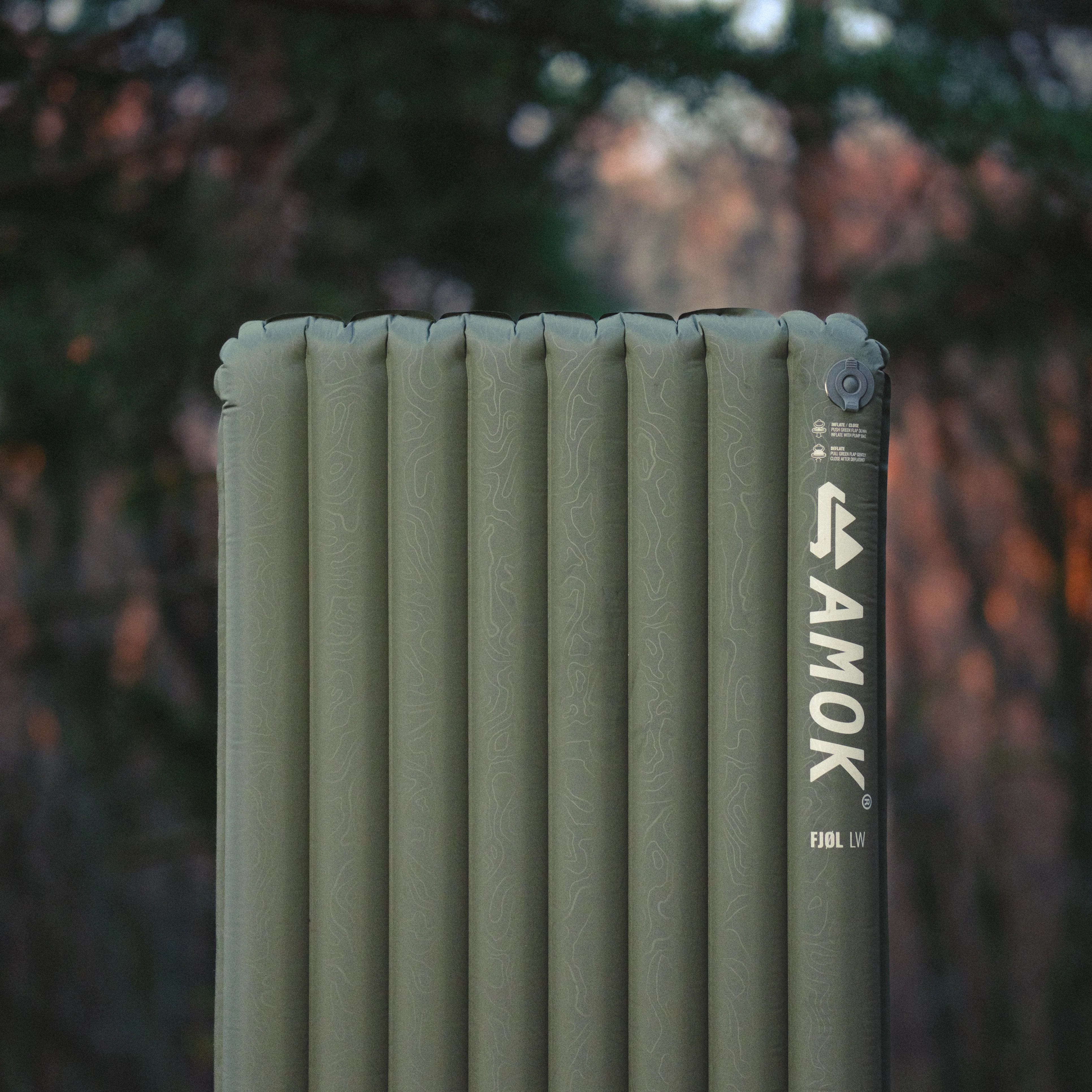 Fjøl - Image 7
