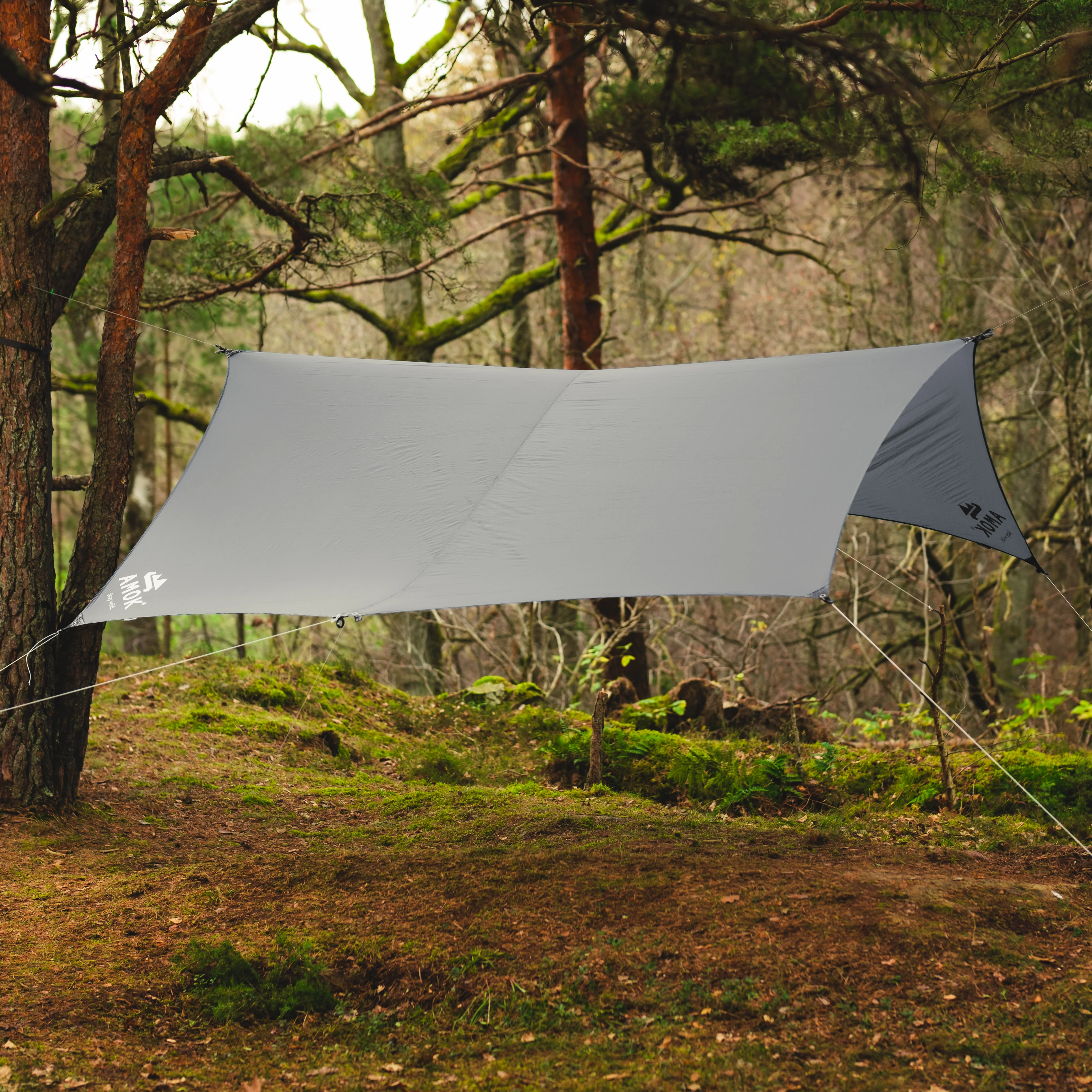 Tarps